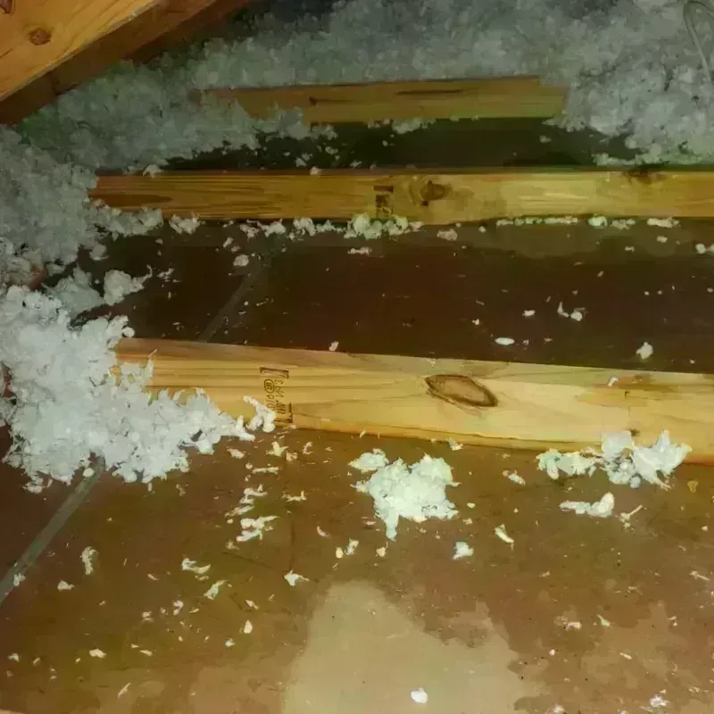 Attic Water Damage in Harrison, NY