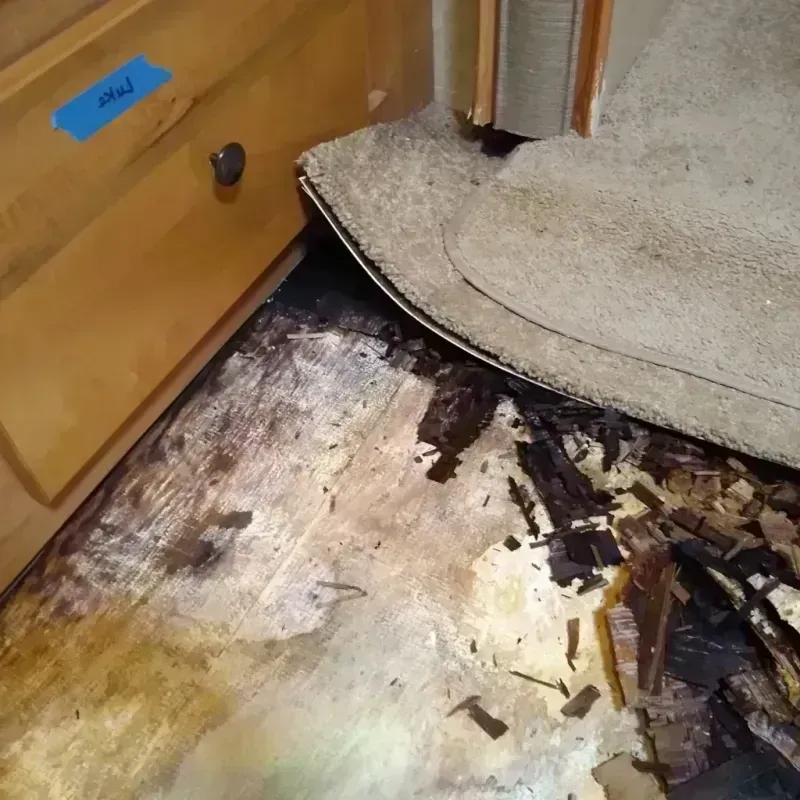 Wood Floor Water Damage in Harrison, NY